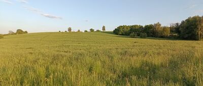Nielepice, ul. Spacerowa