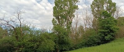 Rudawa, PKP ↔ Nielepice, kościół