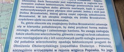 Brzoskwinia