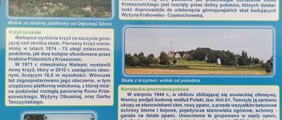 Brzoskwinia