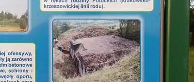 Brzoskwinia