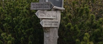 Výrovka