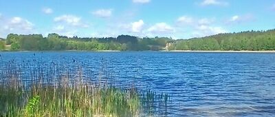 Olsztyn, Redykajny ↔ Tyrsko (Żbik)