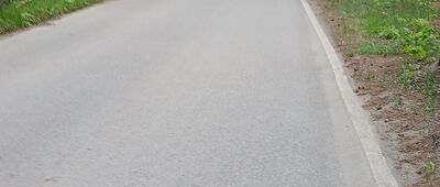 Rozejście szlaków ↔ Tyrsko (Żbik)