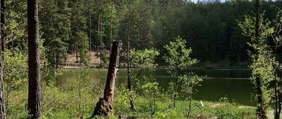 Rozejście szlaków ↔ Rozejście szlaków