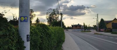 Stalowa Wola, Rozwadów ↔ Stalowa Wola, ul. Lipowa