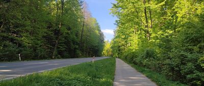 Święta Katarzyna ↔ Święta Katarzyna, groby żołnierzy AK