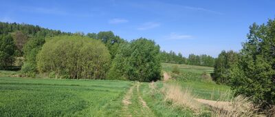 Wymyślona ↔ Święta Katarzyna