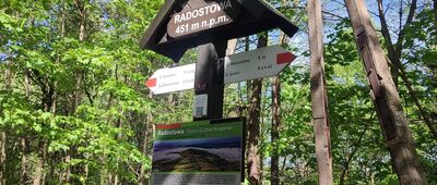 Radostowa