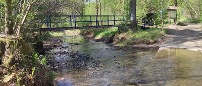 Radostowa, rozejście szlaków
