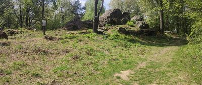Diabelski Kamień [Diabelski Kamień]