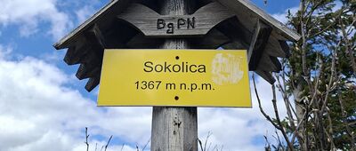 Sokolica