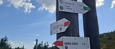 Przełęcz Brona