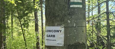 Przełęcz Jałowiecka, odejście szlaku czarnego ↔ Przełęcz Jałowiecka, szałas