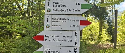 Przełęcz Jałowiecka, odejście szlaku czarnego