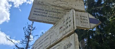 Modralová