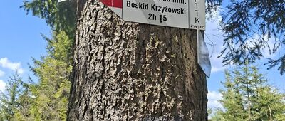 Mędralowa Zachodnia