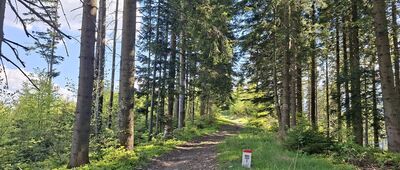Beskid Korbielowski ↔ Przełęcz pod Beskidem Krzyżowskim
