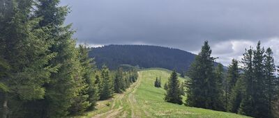 Przełęcz Pawlusia