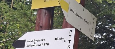 Las Złotnice