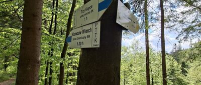 Przełęcz Bory Orawskie