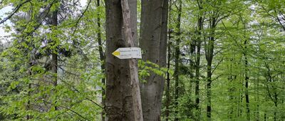 Pod Wielkim Stożkiem