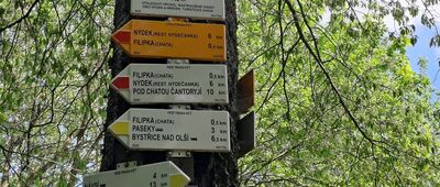 Filipka
