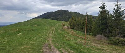 Przełęcz Pawlusia ↔ Hala Pawlusia