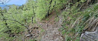 Suchy Groń ↔ Przełęcz Pawlusia