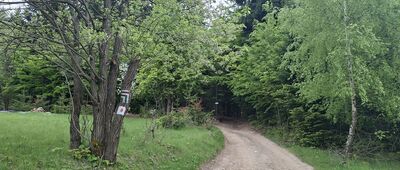 Abrahamów, rozejście szlaków