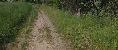 Rozdroże Czarne ↔ Wałbrzych, Podgórze