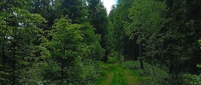 Przejście graniczne Zdoňov / Łączna ↔ Łączna, rozejście szlaków