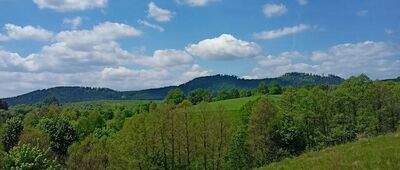 Mieroszów, ul. Słowackiego ↔ Mieroszów, Czarci Potok