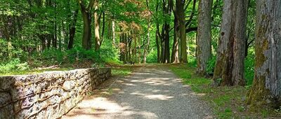 Mieroszów, Park Miejski ↔ Mieroszów, ul. Słowackiego