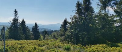 Wielka Racza, granica ↔ Chaty na Rači