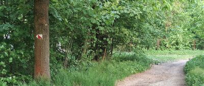 Centrum Opieki nad Dzieckiem "Dąbrówka"