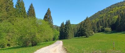 Vlkolínske lúky, rázc.