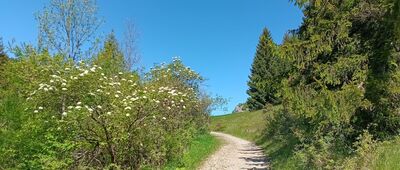Sedlo pod Sidorovom, rázc.