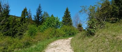Sedlo pod Sidorovom, rázc.