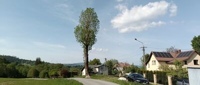 Zwardoń, odejście szlaku żółtego