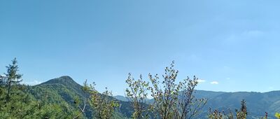 Borovnisko, výhľad