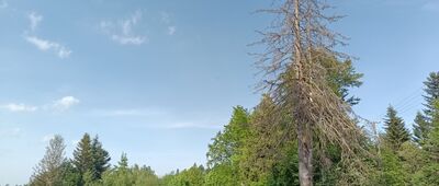 Rozejście szlaków ↔ Osiedle Mały Rachowiec