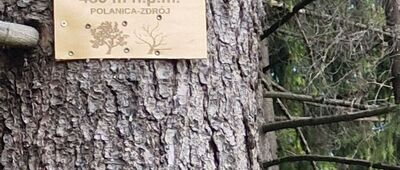 Ślepowron ↔ Rozdroże pod Bukówką