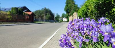 Wojcieszków