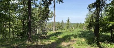 Skrzyżowanie szlaków czerwony / niebieski ↔ Bogaczów