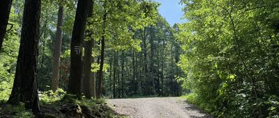 Skrzyżowanie szlaków czerwony / niebieski