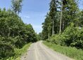 Górzec ↔ Skrzyżowanie szlaków czerwony / niebieski