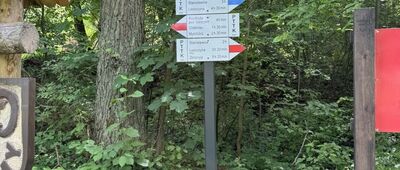 Bogaczów