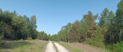 Rozejście szlaków niebieski / czarny