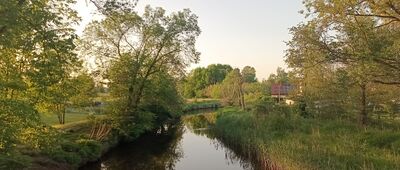 Bierawa